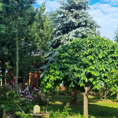 Апартаменты Namelis Sventoji Паланга