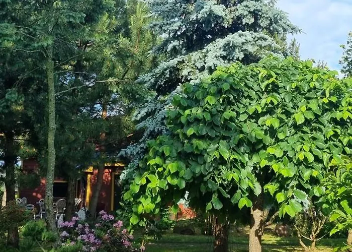 アパート Namelis Sventoji パランガ