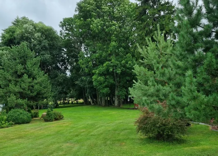 Namelis Sventoji * パランガ